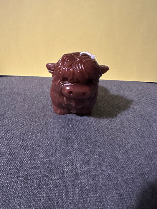 Kráva